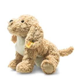 099175 Berno Goldendoodle