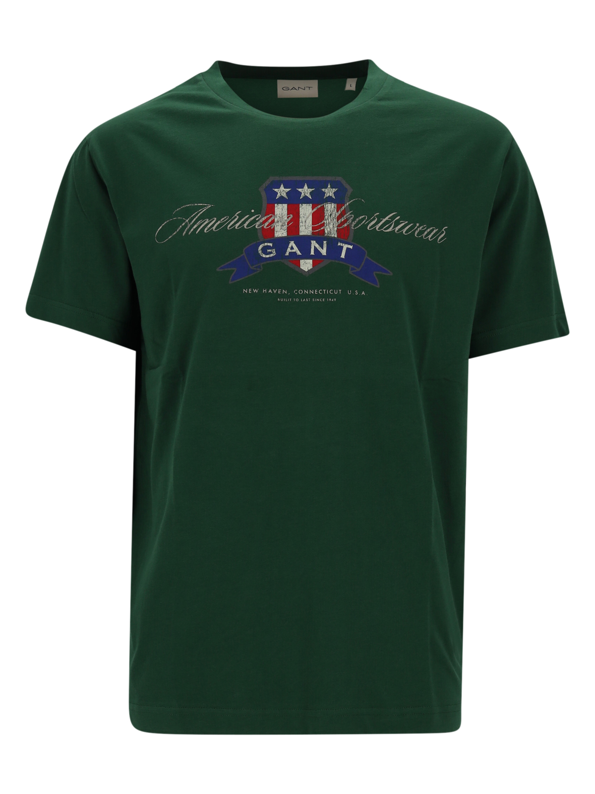 GRAPHIC SS T-SHIRT male
