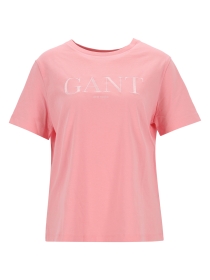 REG TONAL GRAPHIC SS T-SHIRT