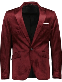 Velvet blazer