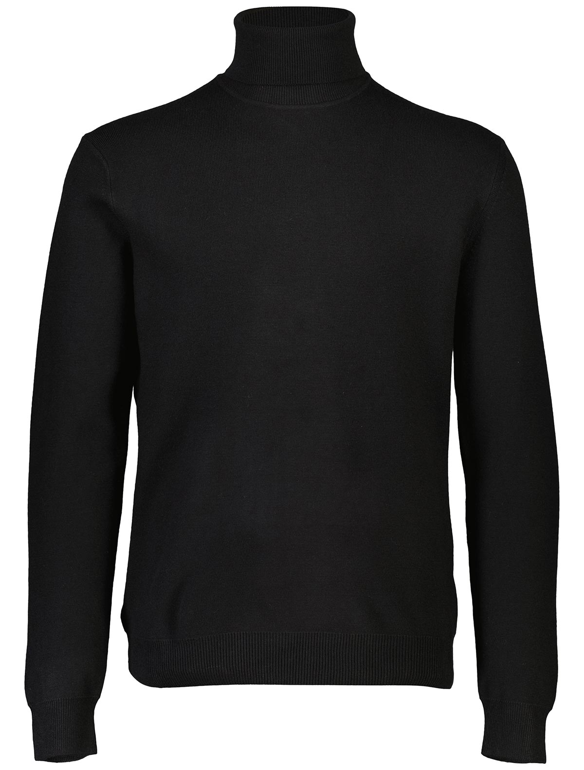 Ecovero roll neck knit male