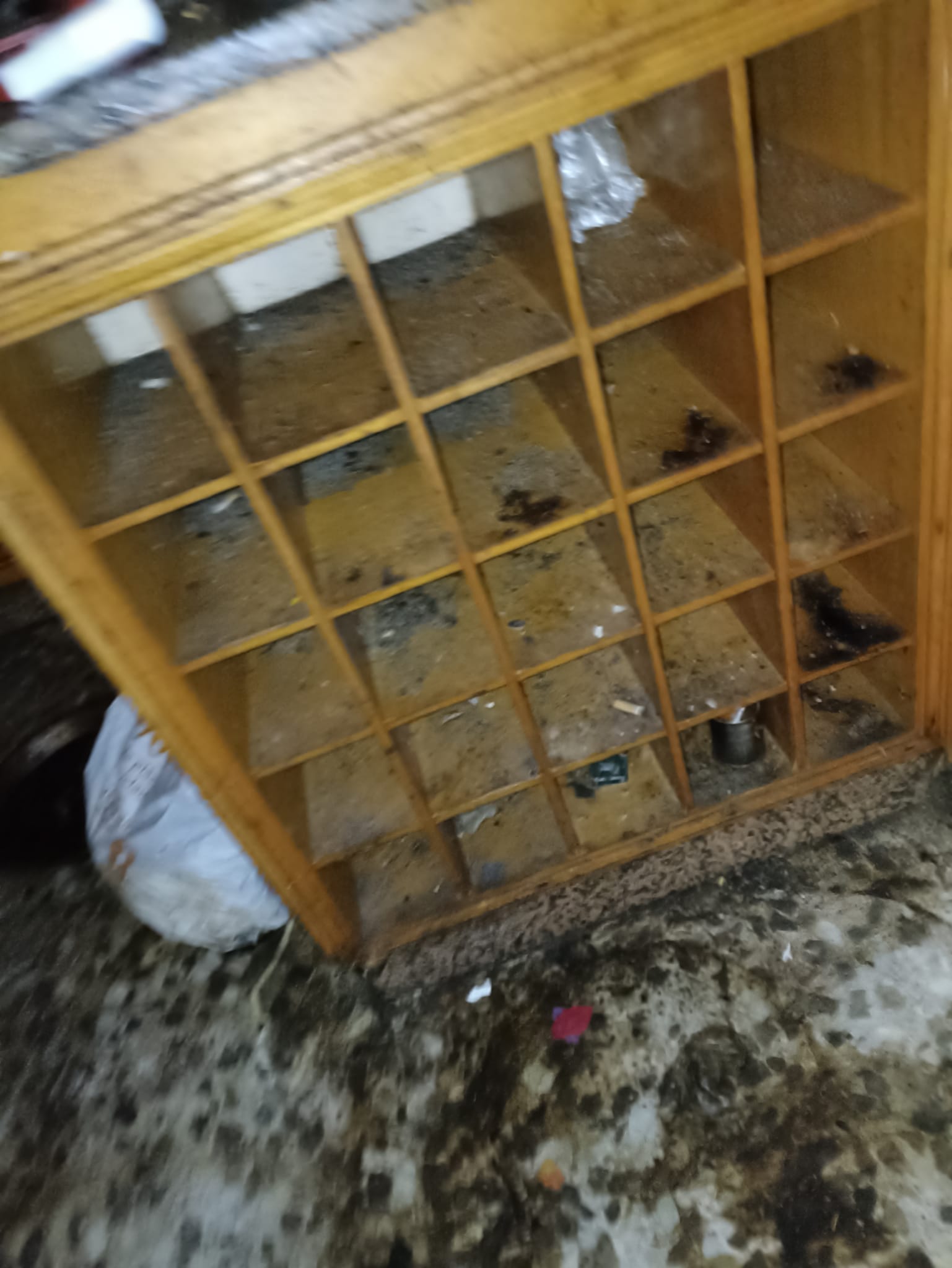 Vaciado de muebles viejos y vaciado de pisos en Sabadell - ¡Servicio 100% confiable!