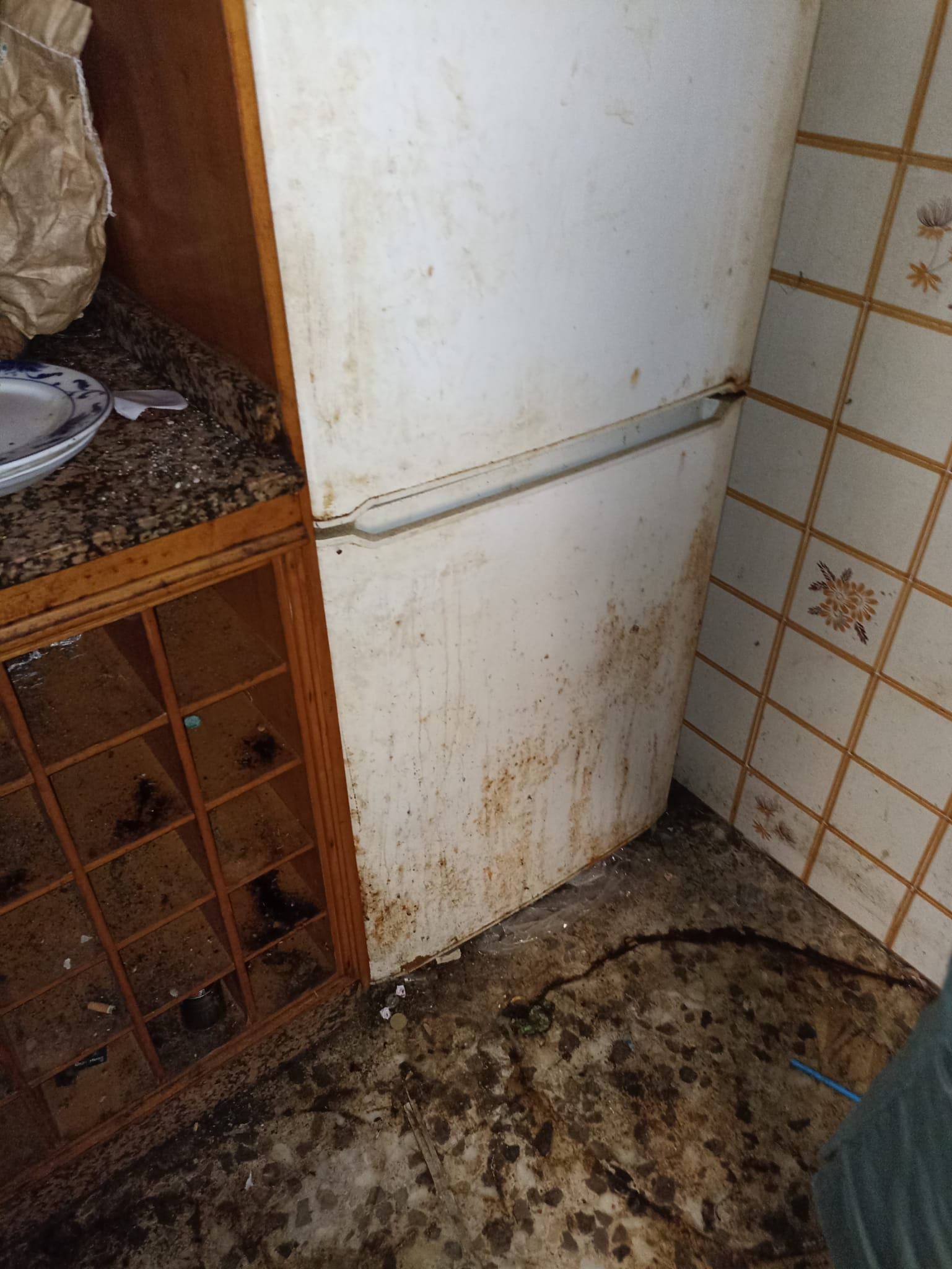 Empresa de vaciado de pisos y recogida de muebles en Moià | Expertos en eliminar desechos