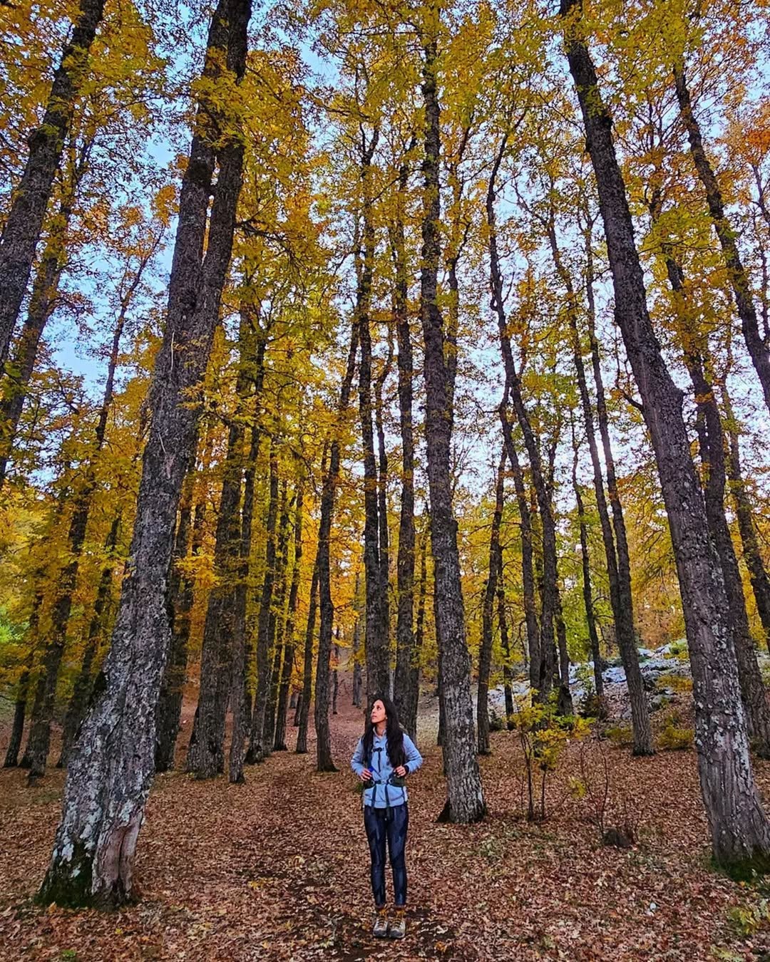 Ghabet El Aazr & Dalahliz – Akkar Nature Tour