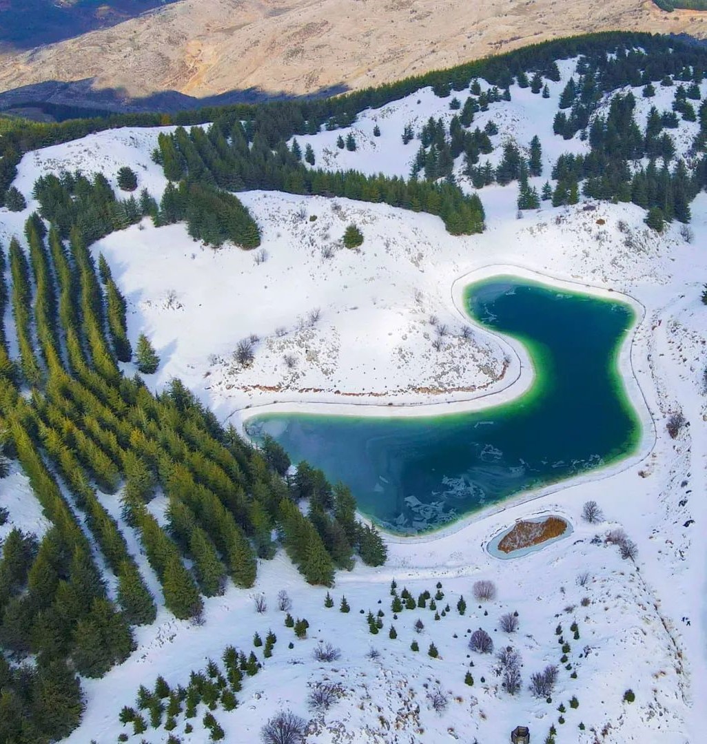 Chouf Cedars Snow Tour & Winter Adventure