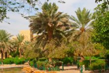 أراضي للبيع في جدة أراضي للبيع في جدة