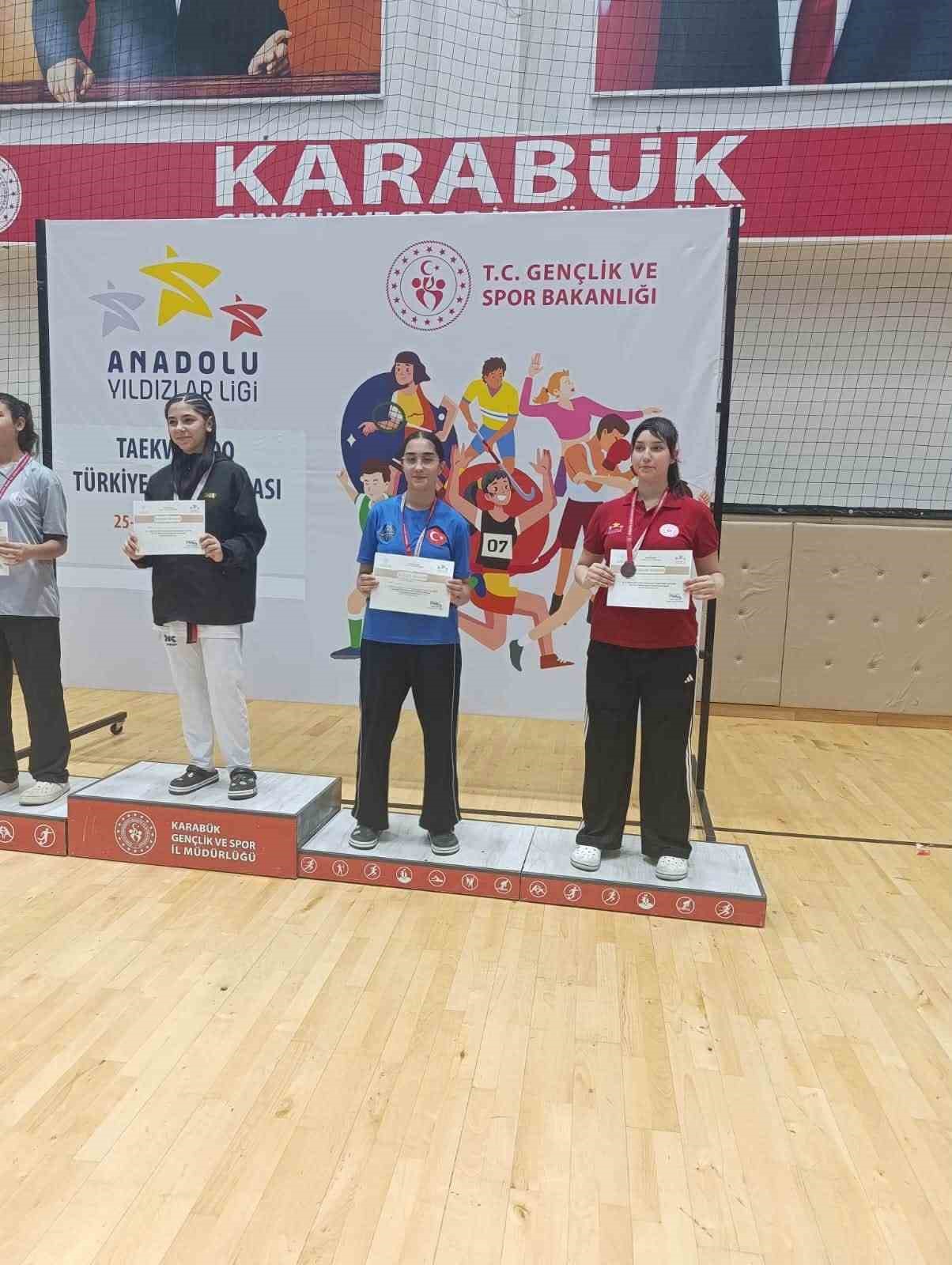 Kayserili Taekwondocular, ANALİG Türkiye Şampiyonası