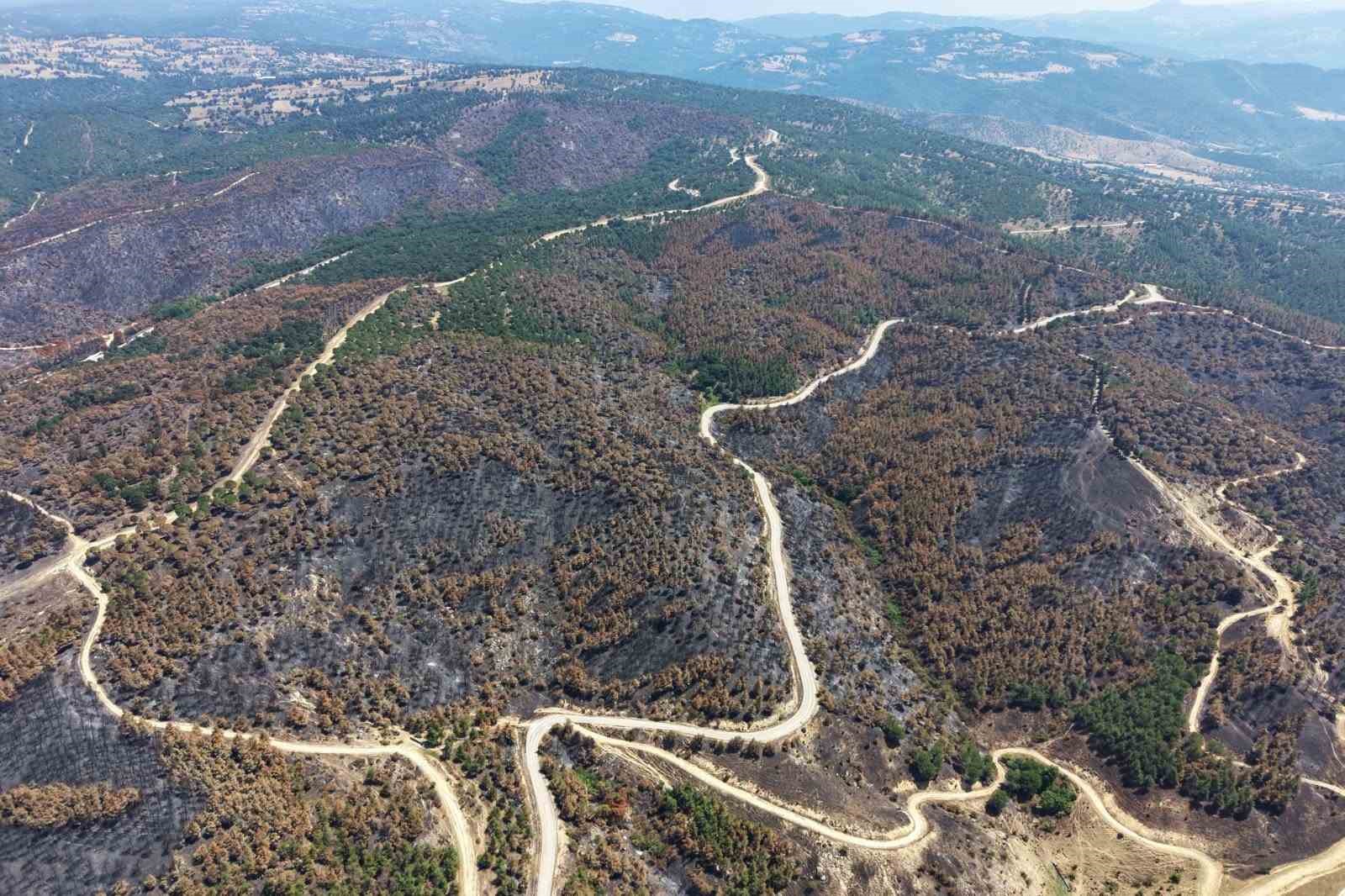 Susurluk