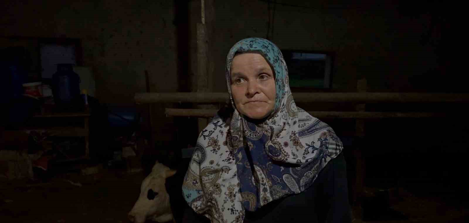 Komşusunun Danasının Kuyruğunu Baltayla Kesmekle Suçlandı