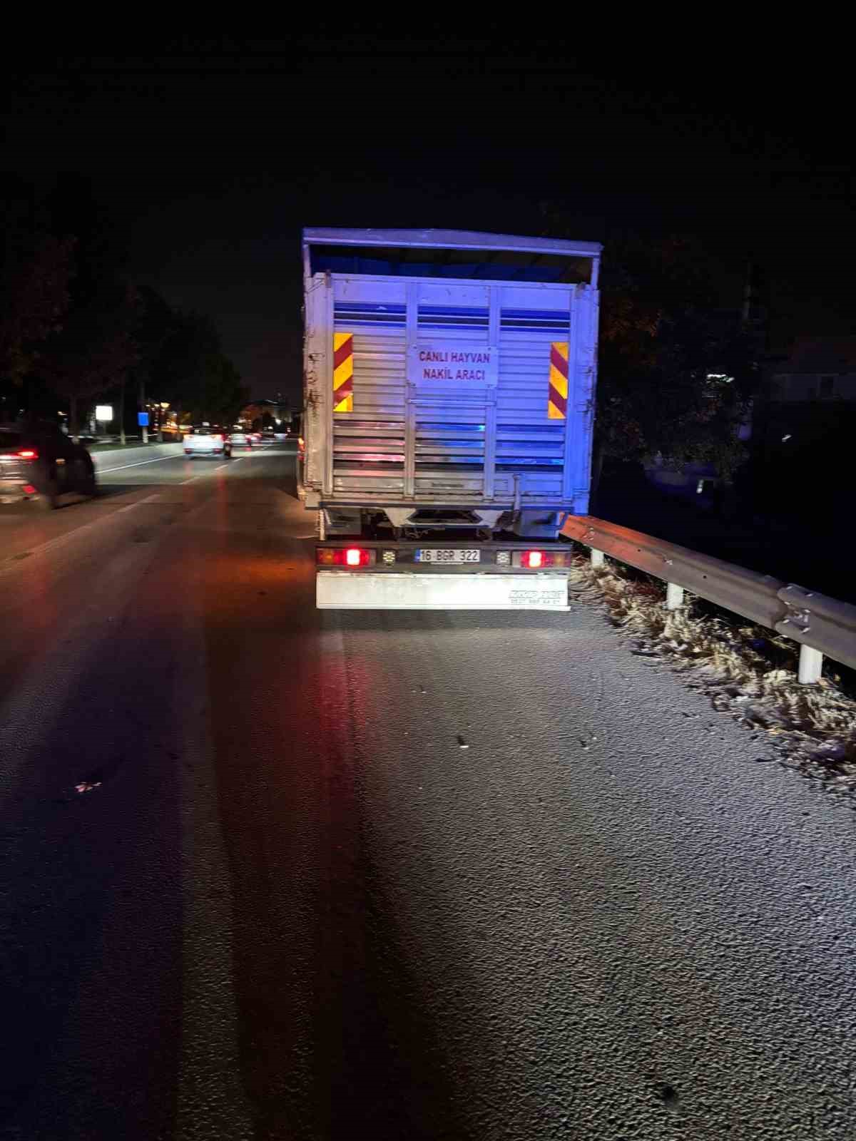 Bursa