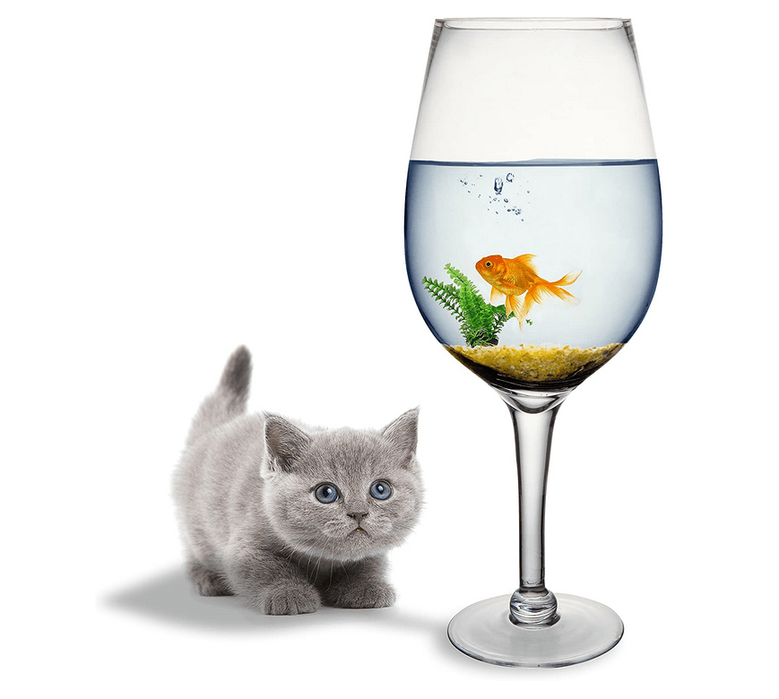 The XXXL wine glass (6400ml)