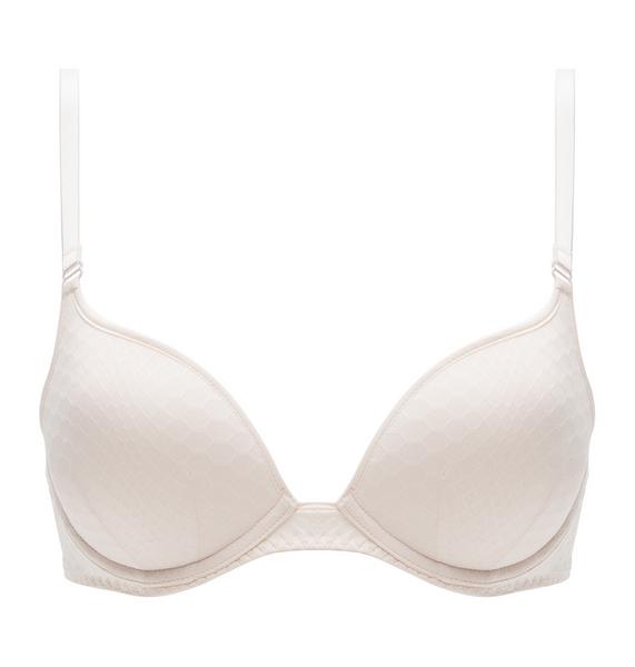 DREAM PASSIO BH GEFUETTER - NL/CHAMPAGNER