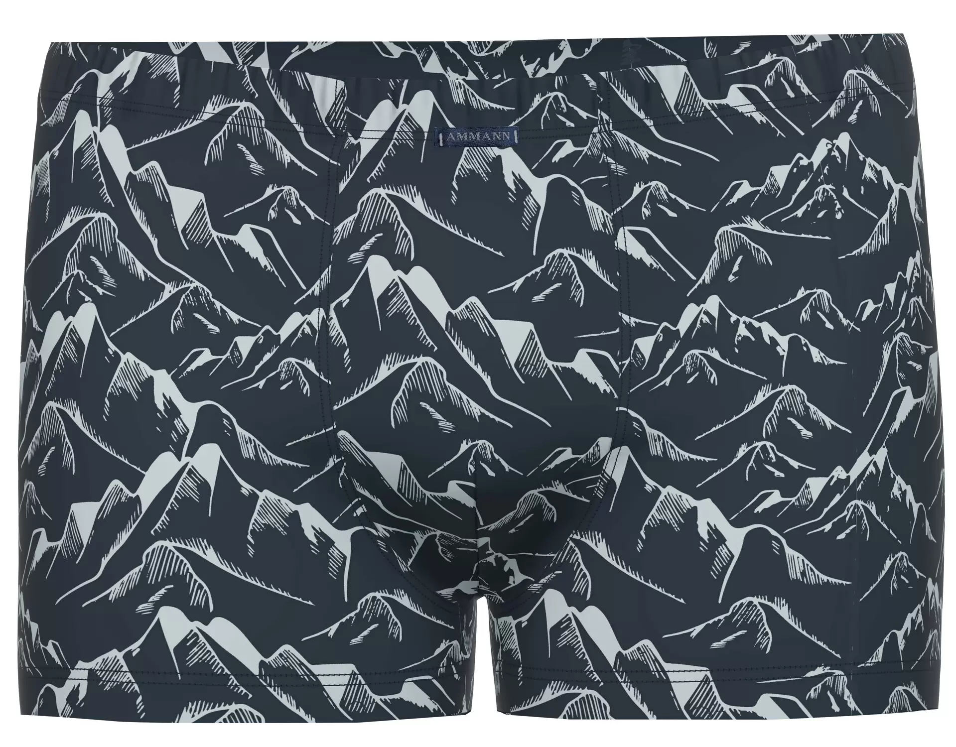 Org Fujimi Retro Short