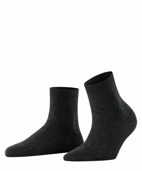 FALKE Fresh Herbs SSO