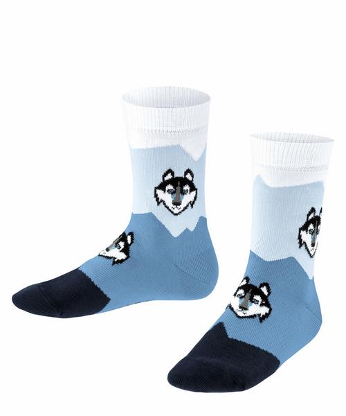 FALKE Husky SO - 6246/powder blue