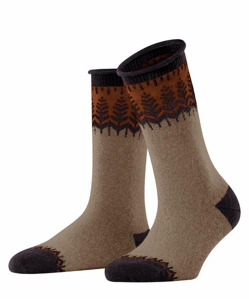 FALKE Pine Grove SO - 5037/nut mel.