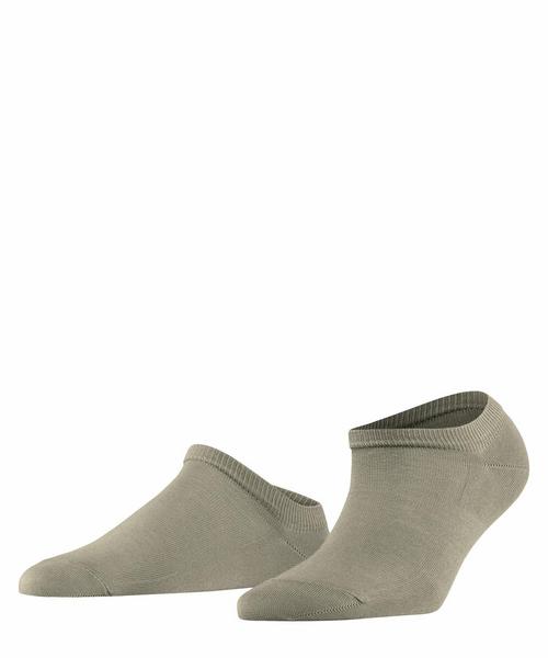 FALKE Active Breeze SN - 7110/pale khaki