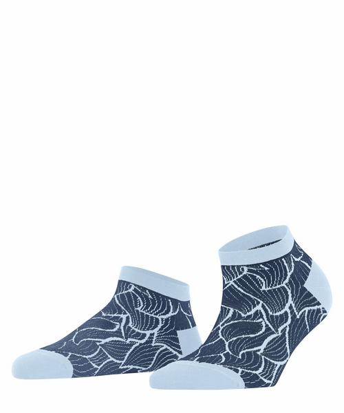 FALKE Stencil SN - 6578/night blue