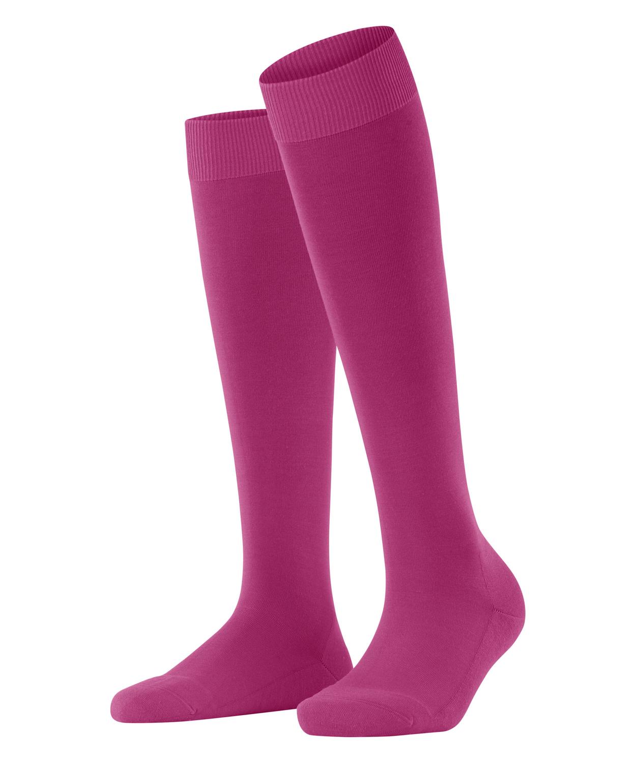 Falke kniestrümpfe damen Outlet