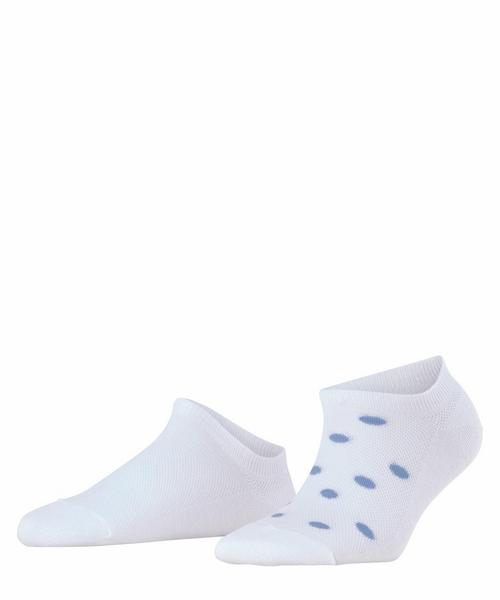 Dot SN 2PDot SN 2P - 2000/white