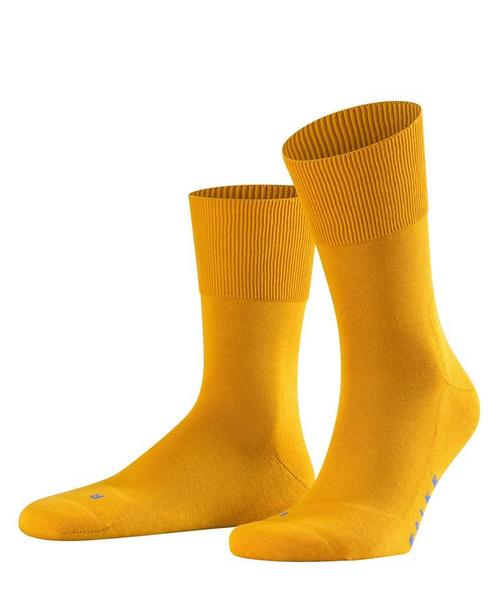 Run SORun SO - 1853/curcuma