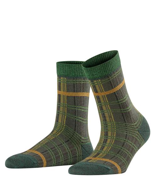 Moorland SOMoorland SO - 7400/fire tree