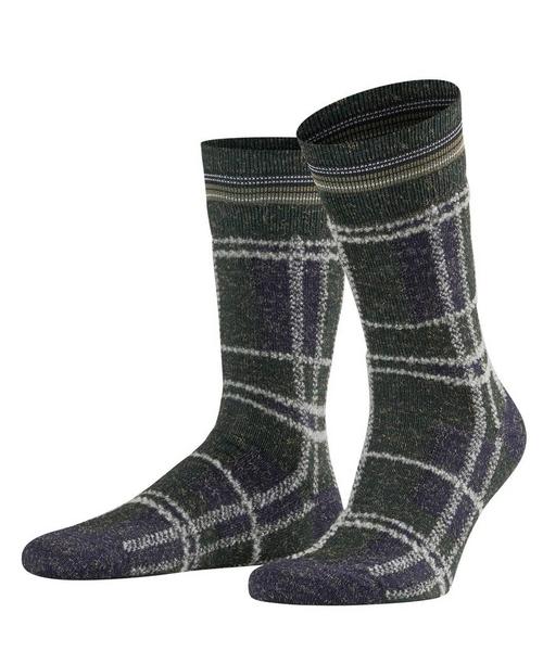 Stonehenge SOStonehenge SO - 7010/forest