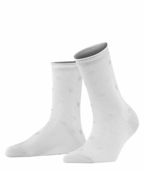 Prestige Dot SOPrestige Dot SO - 2000/white