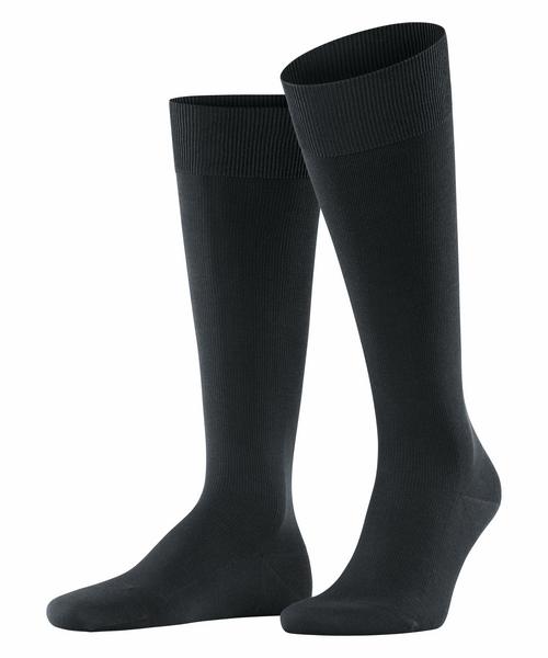 FALKE Ultra Energizing KH
