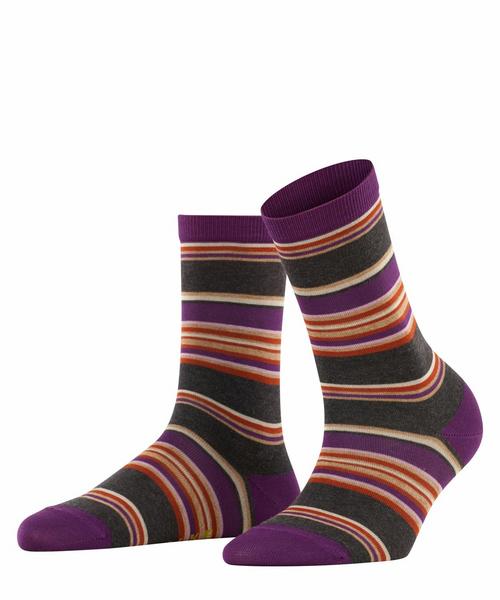Pop Stripe SOPop Stripe SO - 3111/anthracite