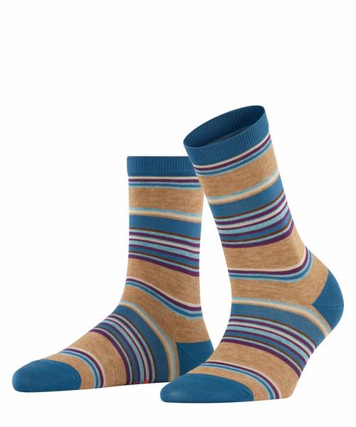 Pop Stripe SOPop Stripe SO - 4390/sesame