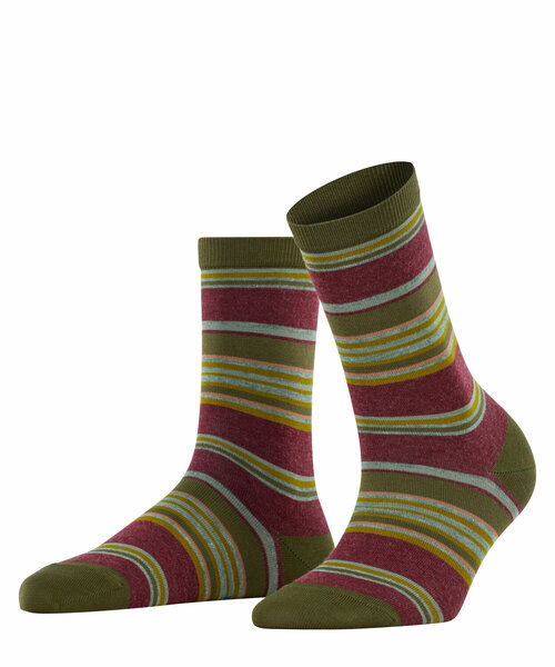 Pop Stripe SOPop Stripe SO - 8100/bordeaux