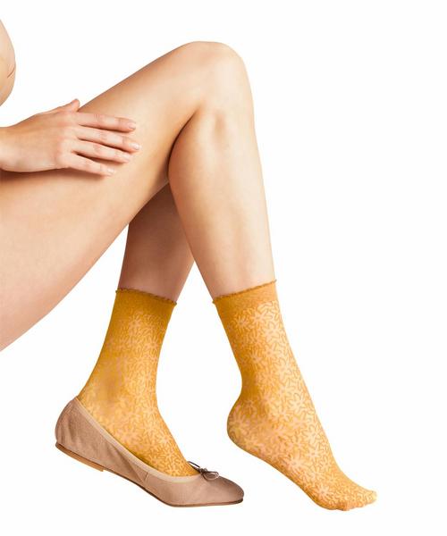 FALKE Dainty Daisy SO - 1316/sun ray