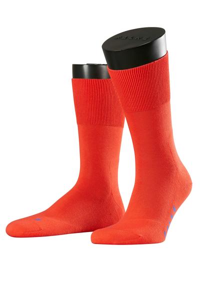 Run Ergo SO - 8118/infra