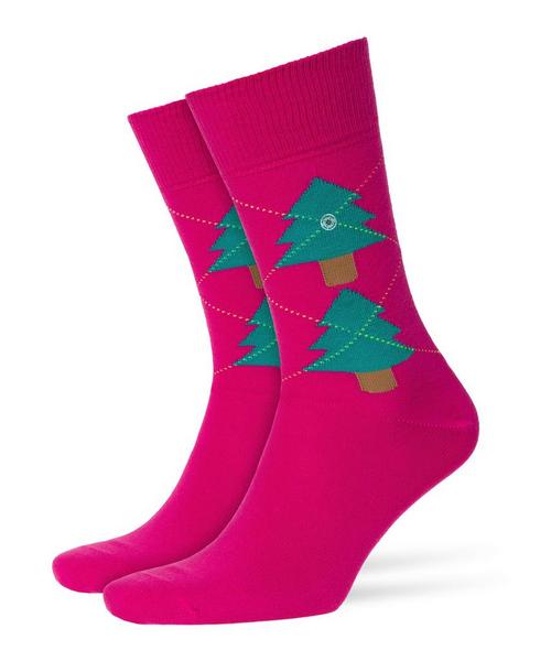 Tannenargyle HETannenargyle HE - 8550/gloss