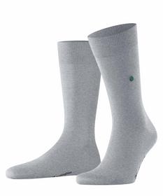 Burlington Lord Herren