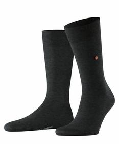 Burlington Lord Herren