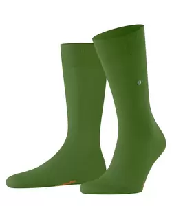 Burlington Lord Herren