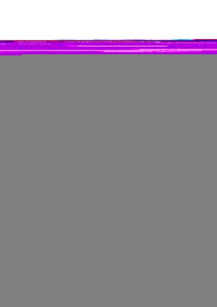 Pullover langarm - 7604/neon green