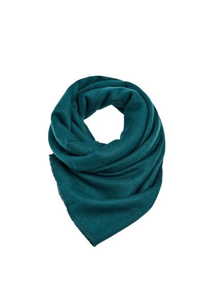 Women Shawls/Scarves shawls