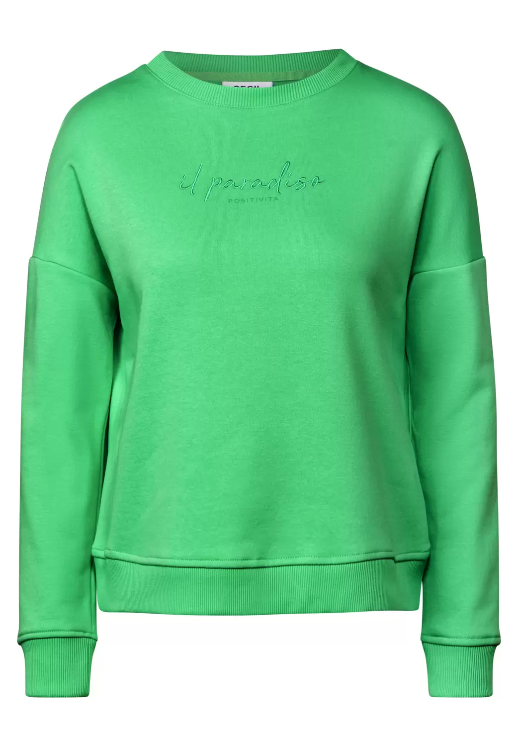 Sweatshirt mit Stickerei