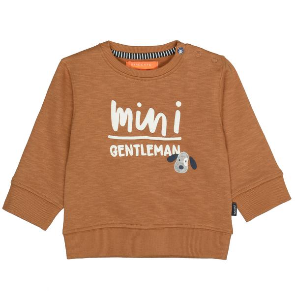 Kn.-Sweatshirt - 700/CAMEL