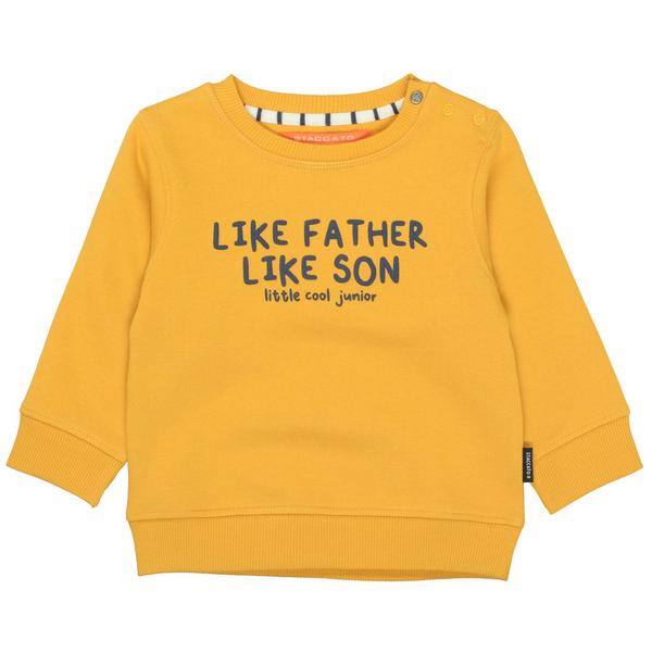 Kn.-Sweatshirt - 307/DARK CURRY