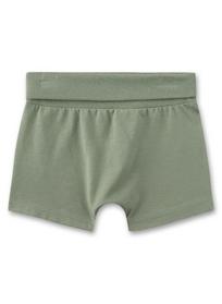 Shorts - 40053/lily green