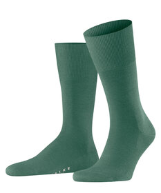 Falke tiago oder airport clearance