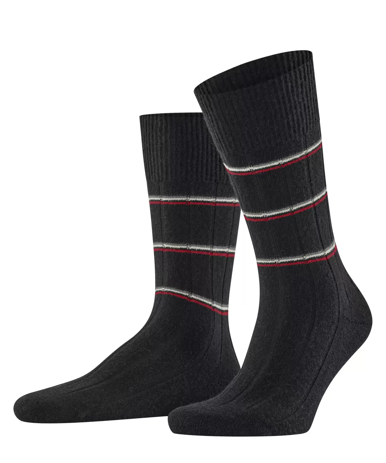 FALKE Lhasa Rib Special Edition Herren