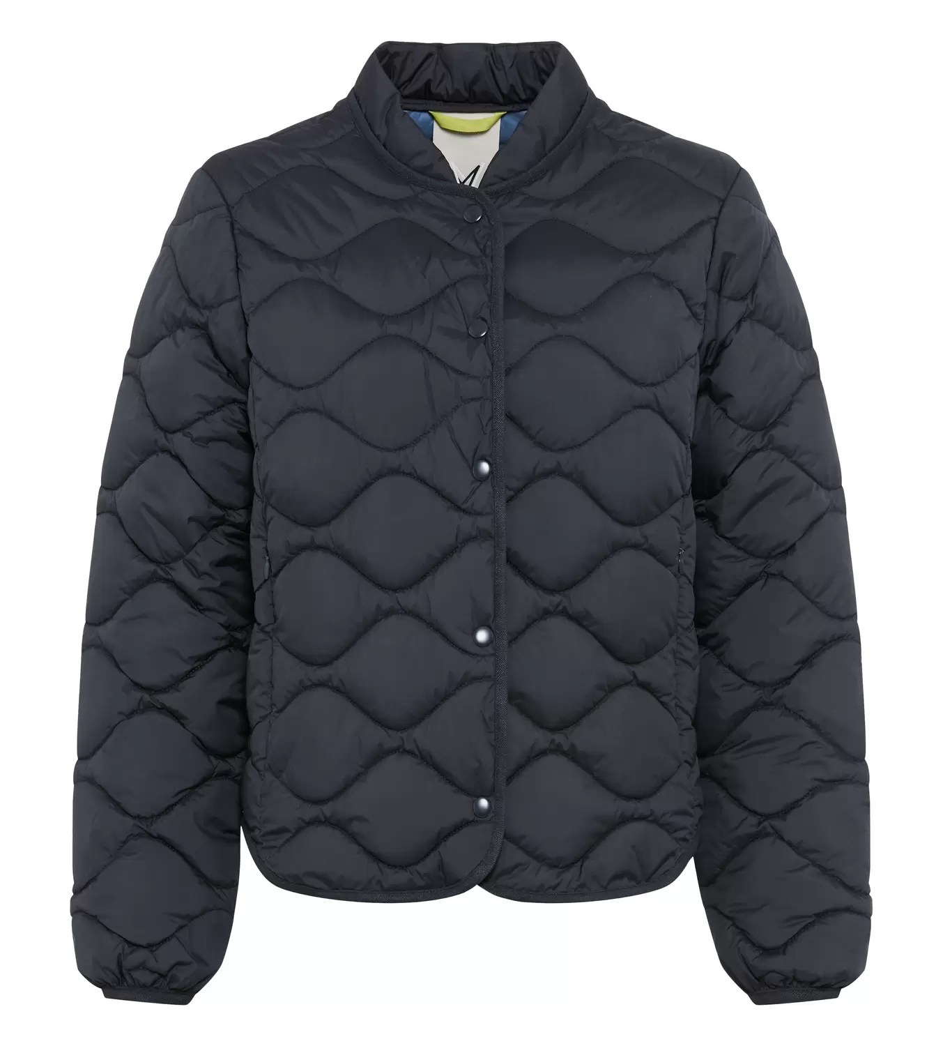JACKE STEPP female