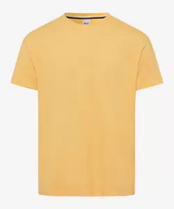 Style Ted