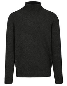 Rollkragen Pullover Basic,uni
