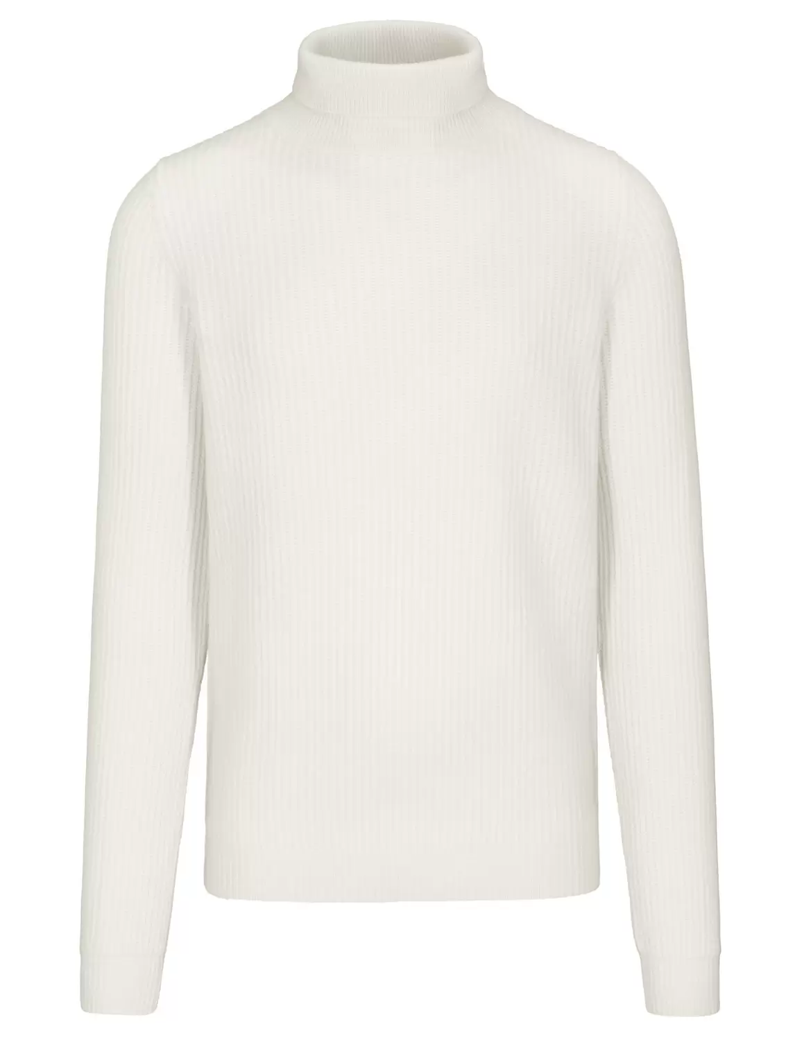 Rollkragen Pullover, 1/1 Arm male